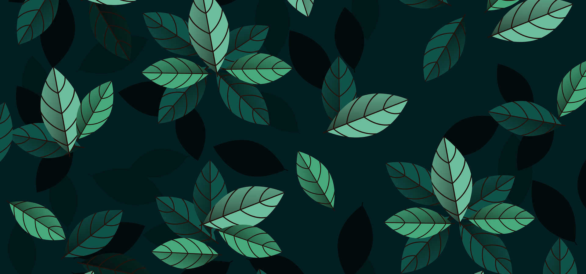 leaves-5610361_1920